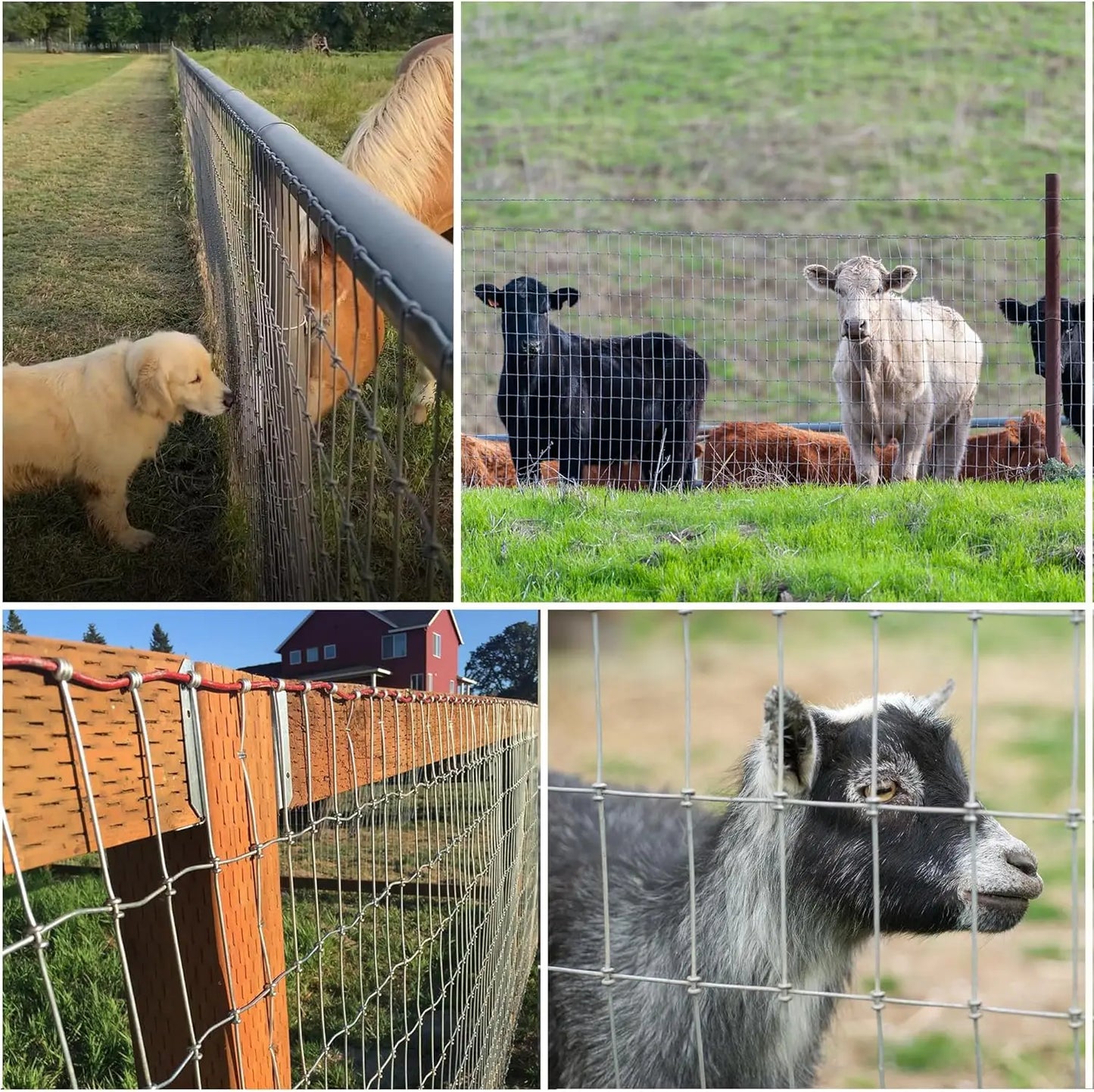 Heavy Duty Farm Fence 4x100FT, 2x4 Inch Mesh, Durable No-Climb Horse Fencing for Cattle, Goats,Sheep,Large Dogs