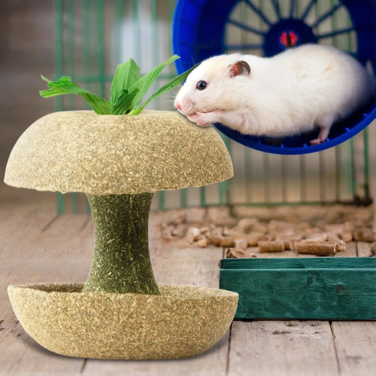 Small Animal Supplies