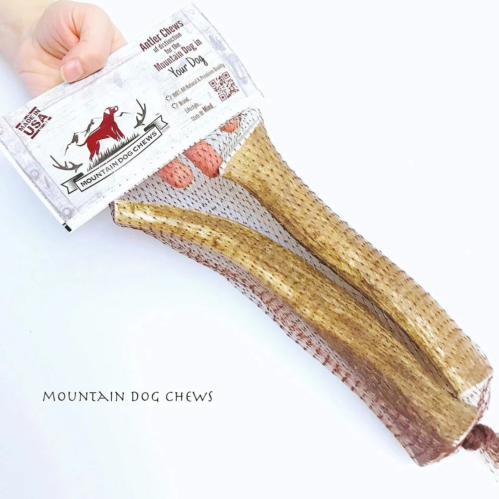 Medium Whole Elk Antler 2 Pack - Elk Antler Dog Chew - Grade A Premium - Organic - Made in USA - No Mess