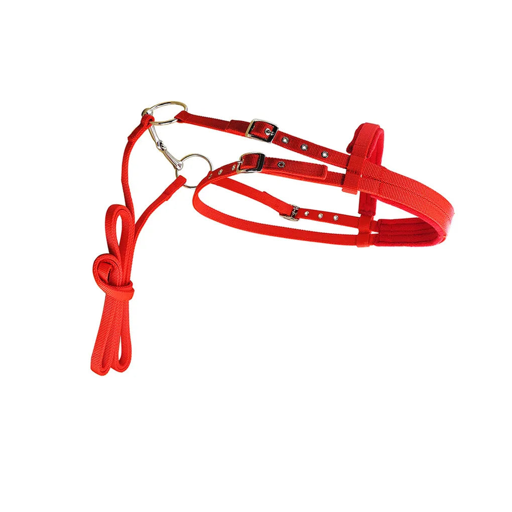 Animal Bridle Headstall Soft Adjustable Harness Head Collar Reusable Washable Outdoor Snaffle Accessories Black S