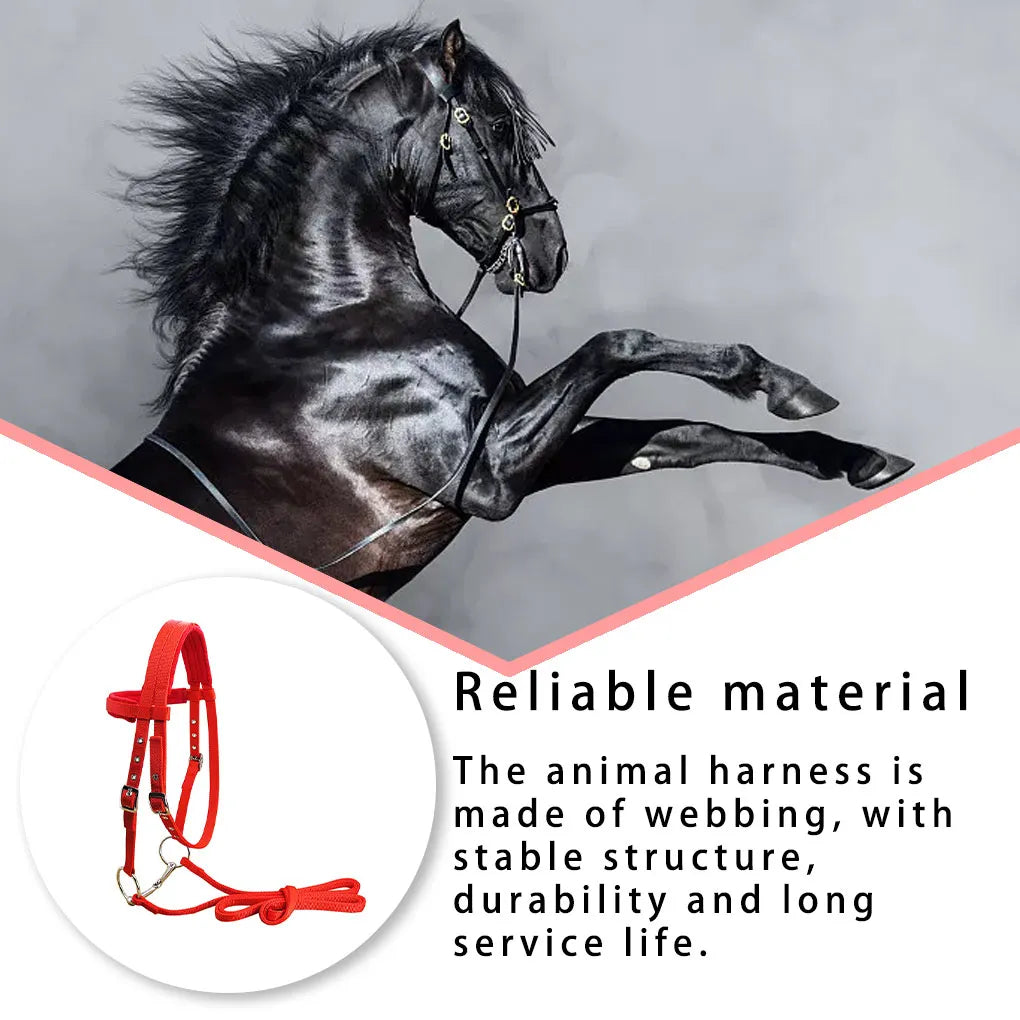 Animal Bridle Headstall Soft Adjustable Harness Head Collar Reusable Washable Outdoor Snaffle Accessories Black S