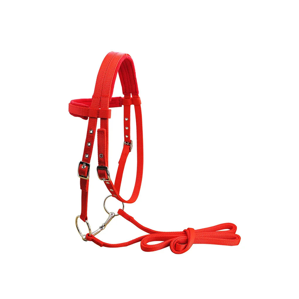 Animal Bridle Headstall Soft Adjustable Harness Head Collar Reusable Washable Outdoor Snaffle Accessories Black S