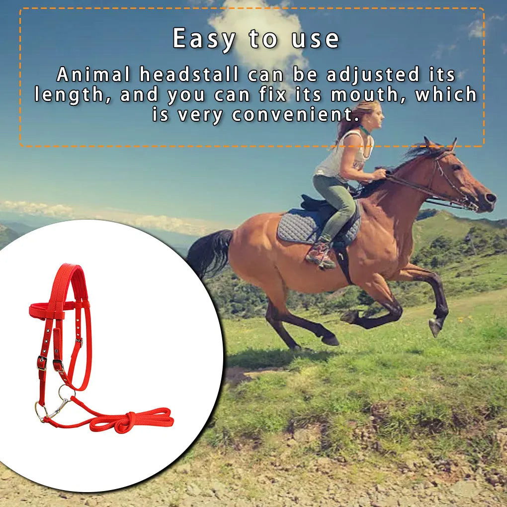 Animal Bridle Headstall Soft Adjustable Harness Head Collar Reusable Washable Outdoor Snaffle Accessories Black S
