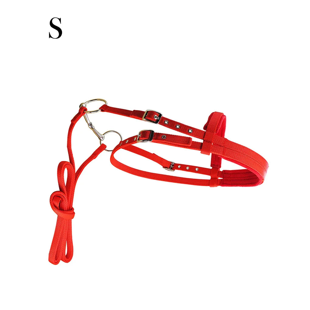 Animal Bridle Headstall Soft Adjustable Harness Head Collar Reusable Washable Outdoor Snaffle Accessories Black S